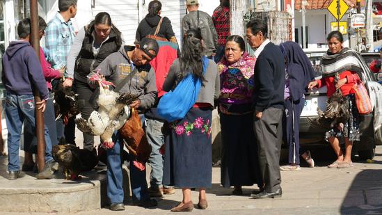 Cultures in Chiapas