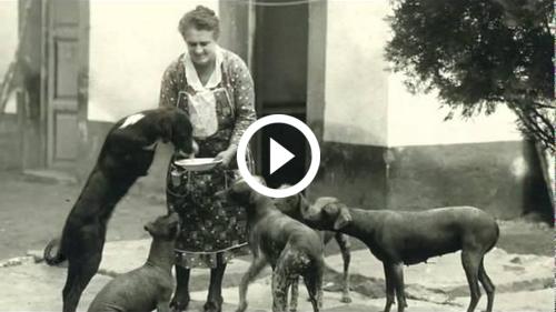 Huipiles from Oaxaca